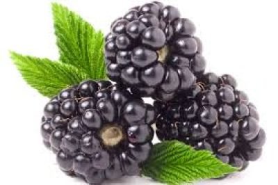 BLACKBERRY PACK