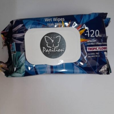 Papilion Baby Wipes 120pc