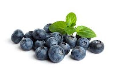 BLUEBERRIES PACK