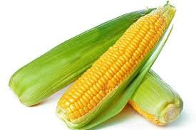 Sweet Corn Pack
