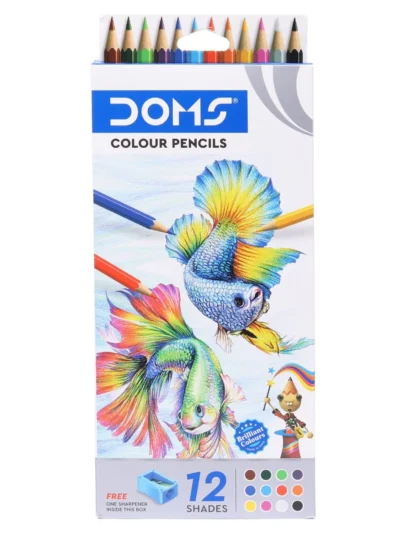 Doms Colour Pencil 12 Shades Tall