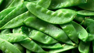Snow Peas Pack
