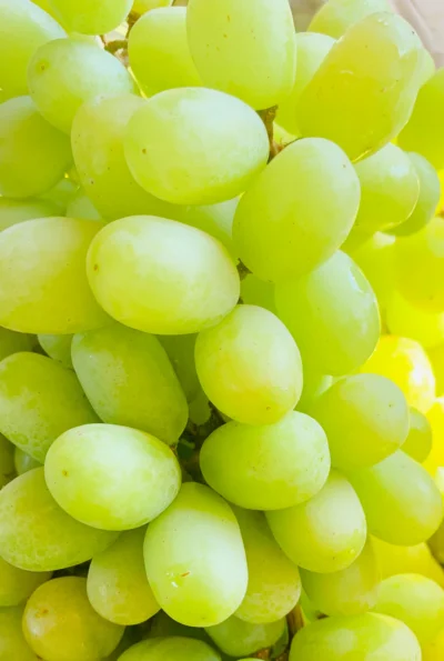 Green Grapes Pack
