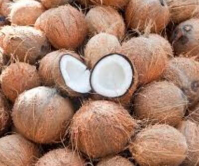 DRY COCONUT
