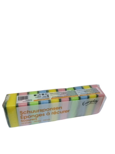 Everyday Scourers 10pcs