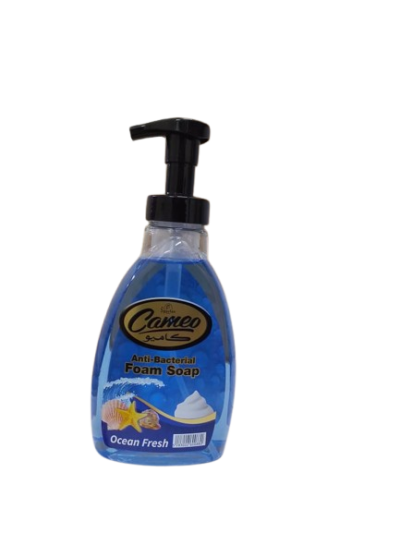 Cameo Anti-Bacterial Foam Soap Ocean Fresh 500ml